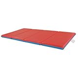 4-Fold 2 Thick Rest Mat [Set of 5] by ECR4Kids