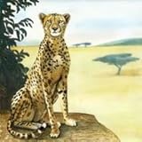 チーター装飾セラミック壁アートタイル4 x 4