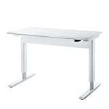 昇降デスク(W1000)ガス圧式　W1200×D700×H704〜1134mm　サンワサプライ　ERD-GA12070W　（納期お問合せください）