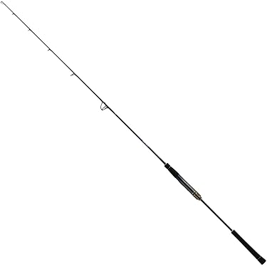 伊勢湾 ジギングロッド2本セット ジギンガーZ SLJロッド 1.68m JZ-S・B55ML/LJ カーボンソリッド