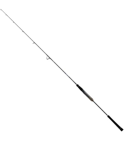 Amazon | ダイワ(DAIWA) ロッド ソルティガ エアポータブル J58S-4