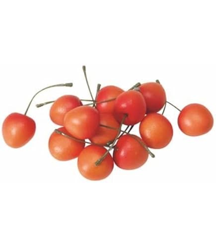 はちこ 初売り 食品サンプル パン 果物 チーズ ディスプレイ 71oENRuyy7L._AC_SY200_QL15_.jpg