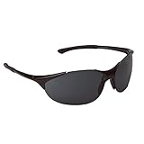 ERB 16806 Keystone Safety Glasses Black Frame with Smoke Lens [並行輸入品]