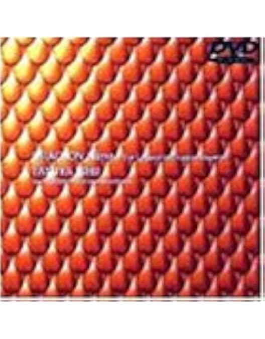 Amazon.co.jp: TRANS FILMS [DVD] : 石井竜也, 石井竜也: DVD