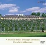 �T���X�[�V�{�a���y����/�U�E�n�m�[���@�[�E�o���h