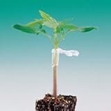 ジョインホルダー 2.1 1000個入 接木 用 ホルダー 茎径2.1から2.7mm シーム