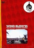 WIND BLOW �f05