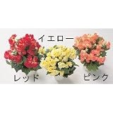 ライオン事務器　人工植物　光触媒　リーガスベゴニアブッシュ　AS-RB04　ピンク 0784bk 【1点】