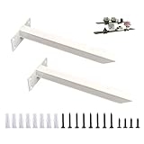 SYWXJ 隠し 棚受け金具 ブラック アイアン I型 棒状 ブラケット 棚 壁掛け 金具 フローティングシェルフ アングル 棚 受け 2本セット ビス付 (白-35cm)