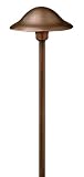 Hinkley Lighting 1401OC Small Solid Copper Essence Path Light, 18 Watt T5 Wedge Base Light Bulb, Old