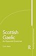 Scottish Gaelic: An Essential Grammar (Routledge Essential Grammars)