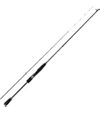 Amazon | ダイワ(DAIWA) ティエラ IC 100H | ダイワ(DAIWA) | ベイトリール