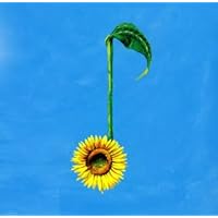 Amazon.co.jp: 12月のひまわり: ミュージック