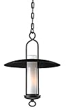 Troy 28955254 One Light Graphite Outdoor Pendant [並行輸入品]