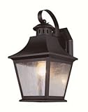 Trans Globe Lighting Eel Manchester Outdoor Wall Light, 13", Rubbed Oil Bronze [並行輸入品]