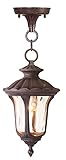 Livex Lighting 7668-58 Oxford 1 Light Outdoor Chain Hang, Imperial Bronze [並行輸入品]