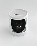 お金ボックスwithのクローズアップAブラックCat In Aパイプ
