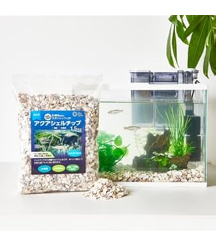 Amazon.co.jp: 【BeeQuest】 国産牡蠣殻 かきがら 6袋セット 水槽用