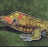 Gecko装飾セラミック壁アートタイル8 x 8