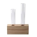 Dovewill ガラスと木製　花瓶　花　植物　水耕栽培　２本試験管+木製スタンド　実用
