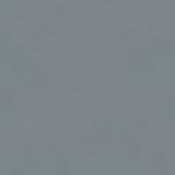 ポリエステル化粧合板 カラーフィットポリ RK-6304 ３ｘ６ 表面エンボス（梨地）仕上