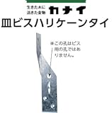 カナイ 皿ビスハリケーンタイ 442-9637(200個)