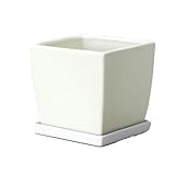 エイチツーオー インテリアポット ファンスクエアL ホワイト H1453