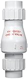 1.5 PVC Quiet Union Check Valve by Zoeller