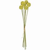 MAGIQ 東京堂 上質な 造花 クラスペディア (6本入り) YELLOW FM003371-004