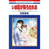 いま幕が降ろされる (花とゆめCOMICS)