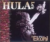 �t�����A�E�G�J�q