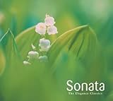 �G���K���X�E�N���V�b�N �\�i�^BEST