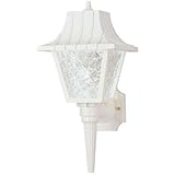 Angelo Brothers 66946 1-Light Lantern with Textured Panels [並行輸入品]