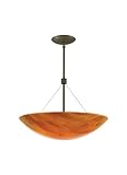Lark Sus 19IND 14INL am, bz-CF by Tech Lighting