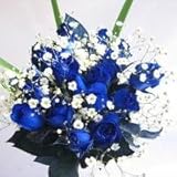 ブルーローズの花束　青いバラ10本＆カスミ草、グリーン付き バラの花束【生花】【お祝い・記念日・誕生日・フラワーギフト・バラ】
