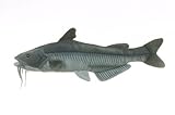 10 Blue Catfish Fish Plush Stuffed Animal Toy [並行輸入品]