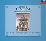 �v�b�`�[�j:�̌��s�g�D�[�����h�b�g�t�S��