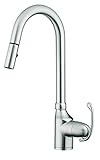 Danze D457020SS Anu Snapback Single Handle Pull Down Kitchen Faucet, Stainless Steel [並行輸入品]