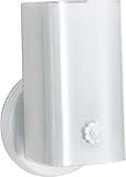 Nuvo SF77/989 with U Channel Glass, 1-Light [並行輸入品]