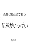 我輩は猫探偵である 星屑がいっぱい