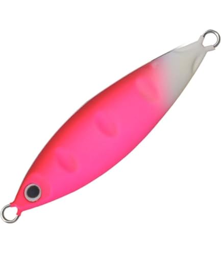 Amazon | パームス(Palms) レイクジー LSZS-990 SS | パームス(Palms