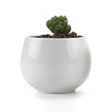 T4U 7CM 陶器鉢 白 ドラムシェイプ 多肉植物 サボテン鉢 フラワーポット プランター容器