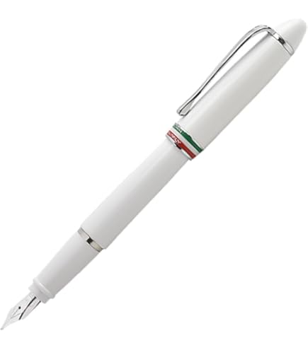 Amazon | アウロラ 万年筆 EF 極細字 イプシロン B11-XE ボルドー 両用