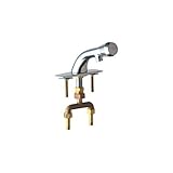 Chicago Faucets 844-E12-665PSHABCP Lavatory Faucet Metering [並行輸入品]