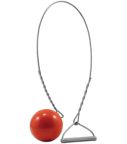 Amazon | 鋳鉄ハンマー&ワイヤー、6kg(13.2ポンド) - ハンマースロー