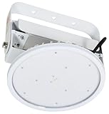 日動工業 ハイディスク100W 吊下げ型 L100V2-P-HW-50K