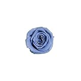 florever　フロールエバー　フレッシュルックベイビーローズ　ラベンダーブルー　12輪　Φ2.5～3.5cm　 プリザーブドフラワー　Baby Rose　Lavender Blue