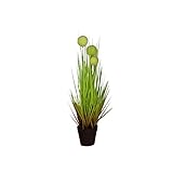ハギハラ 人工観葉植物 『ボールグラス/月見草』 (SS/53cm) #2096