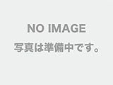 みきかじや村 おの義刃物用内臓バネ TS050