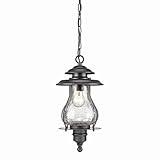 Acclaim 8206BK Blue Ridge Collection 1-Light Outdoor Light Fixture Hanging Lantern, Matte Black [並行輸